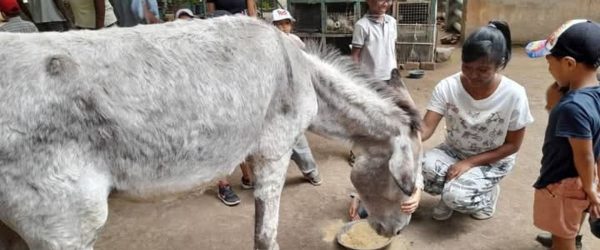 slide sortie pedagogique 3